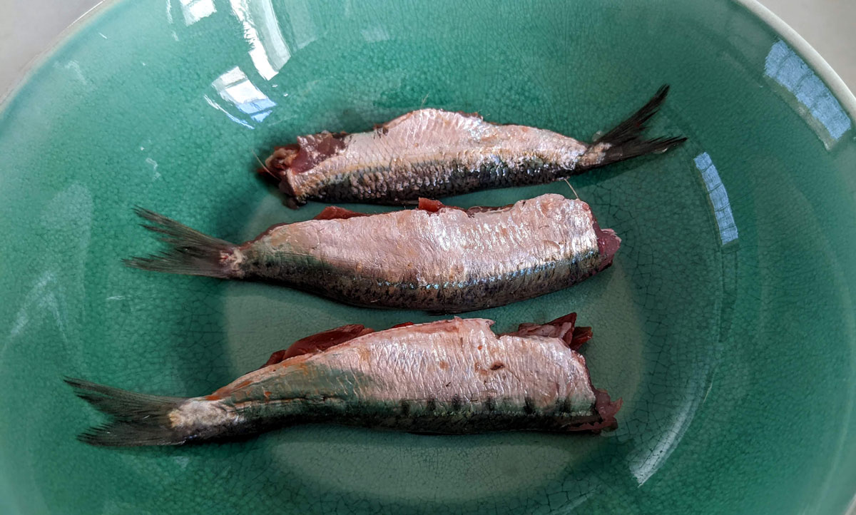 naplněné sardinky